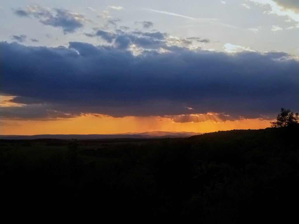 beillesztett kép