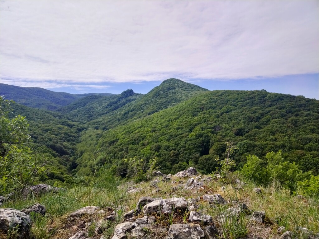 beillesztett kép
