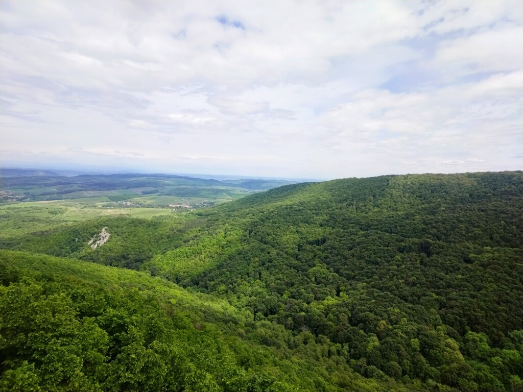 beillesztett kép