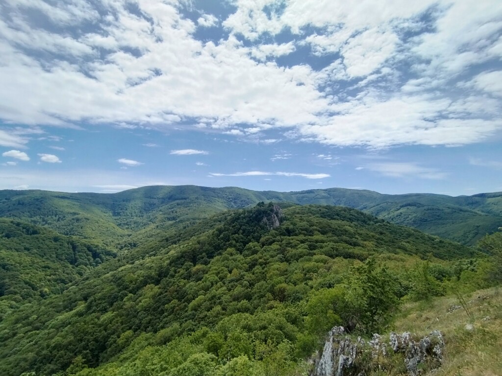 beillesztett kép