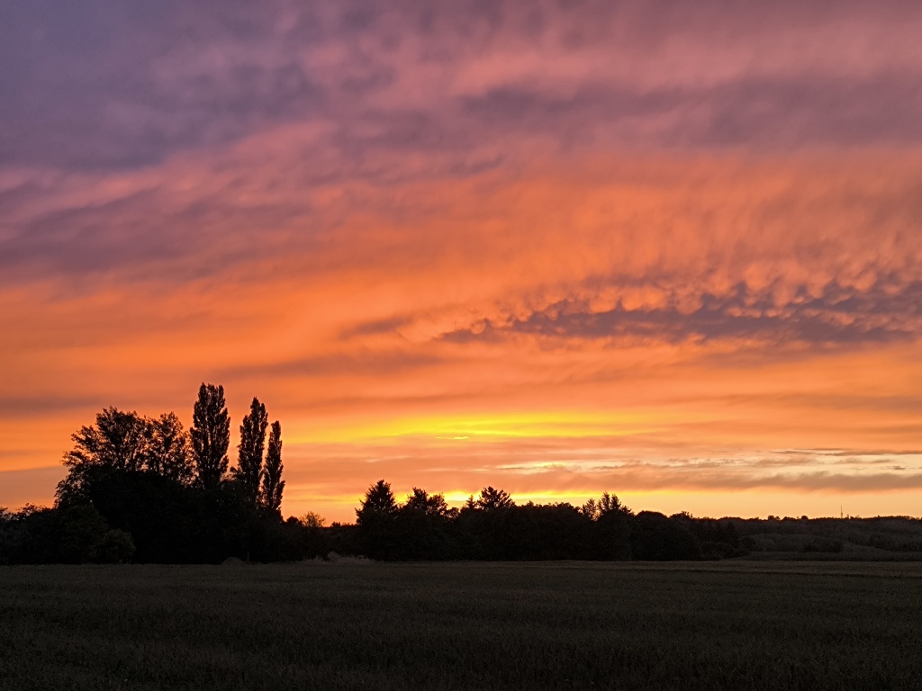 beillesztett kép