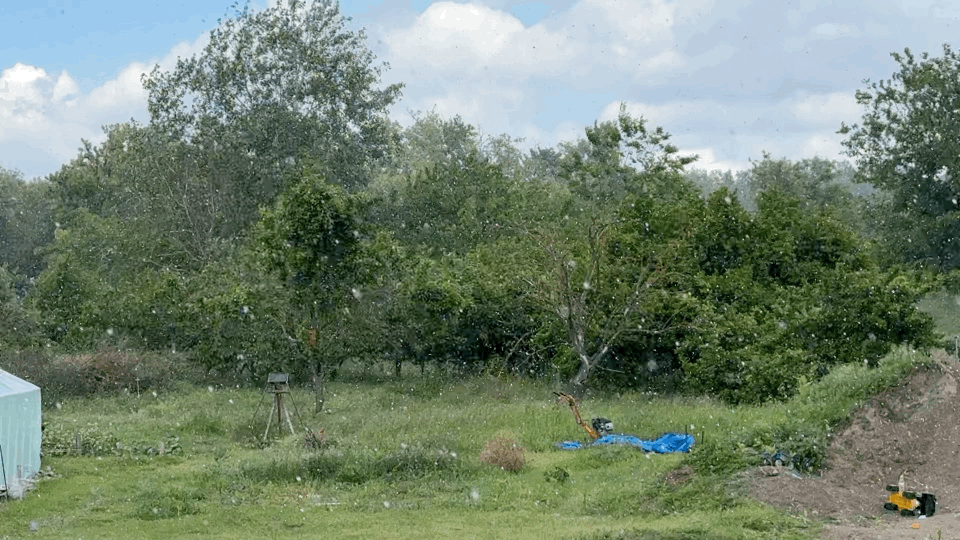 beillesztett kép