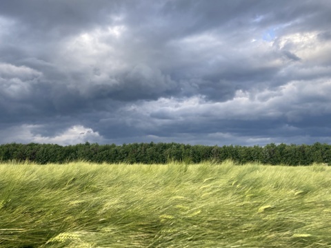 pic