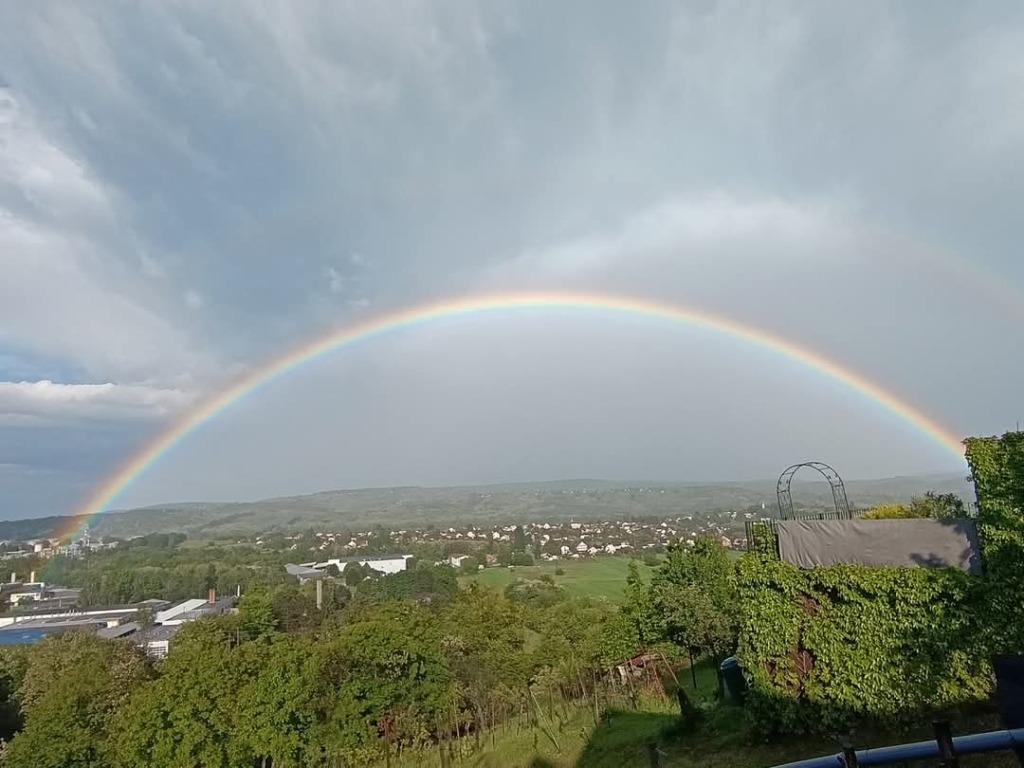 beillesztett kép