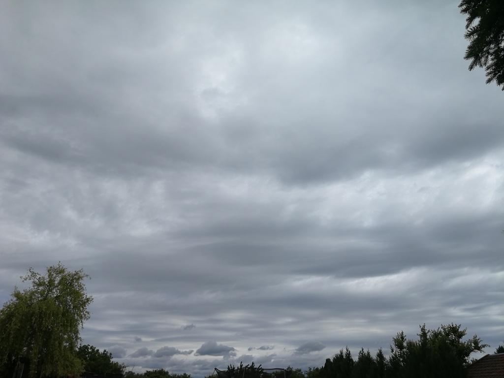 beillesztett kép