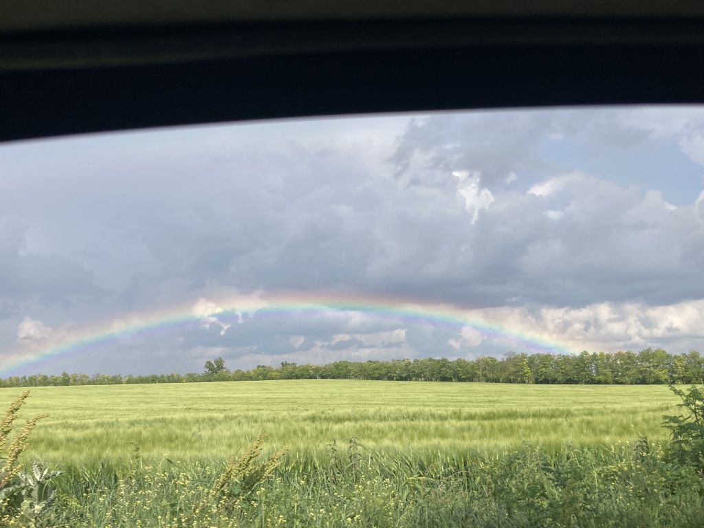 beillesztett kép