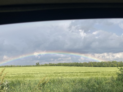 pic