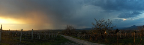 pic