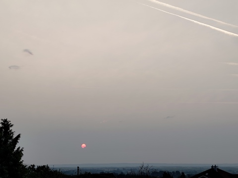 pic