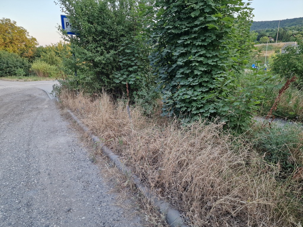 beillesztett kép