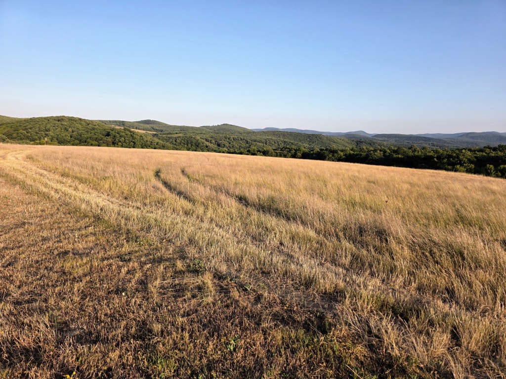 beillesztett kép