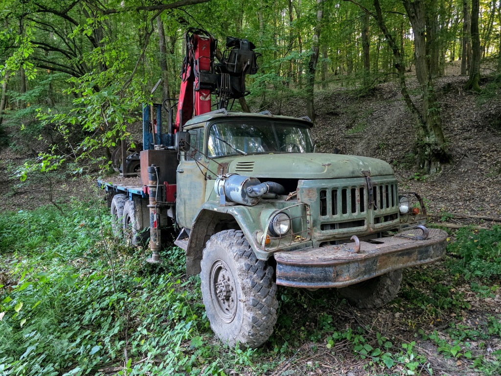 beillesztett kép