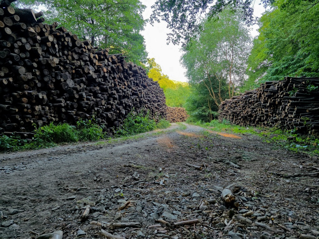 beillesztett kép
