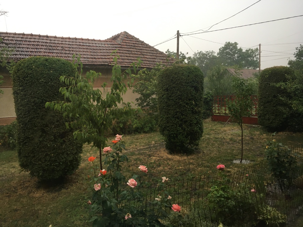 beillesztett kép