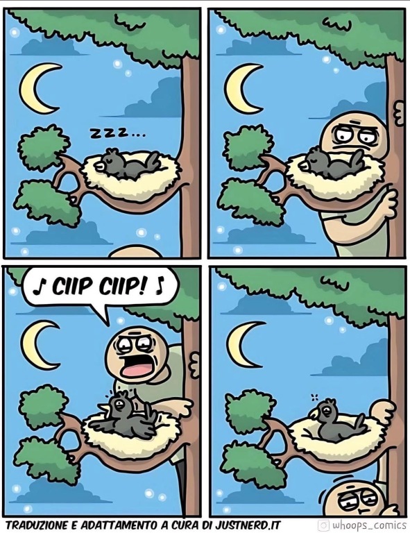 beillesztett kép