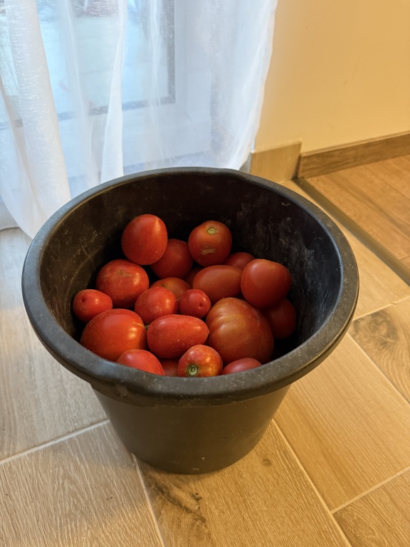 beillesztett kép