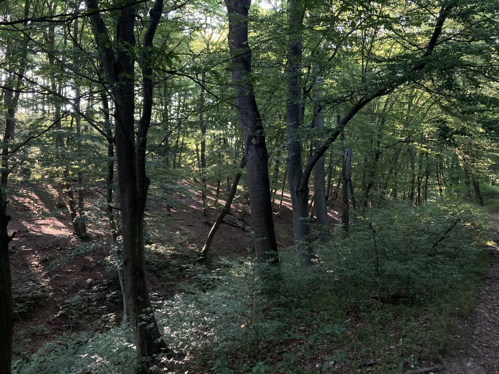 beillesztett kép