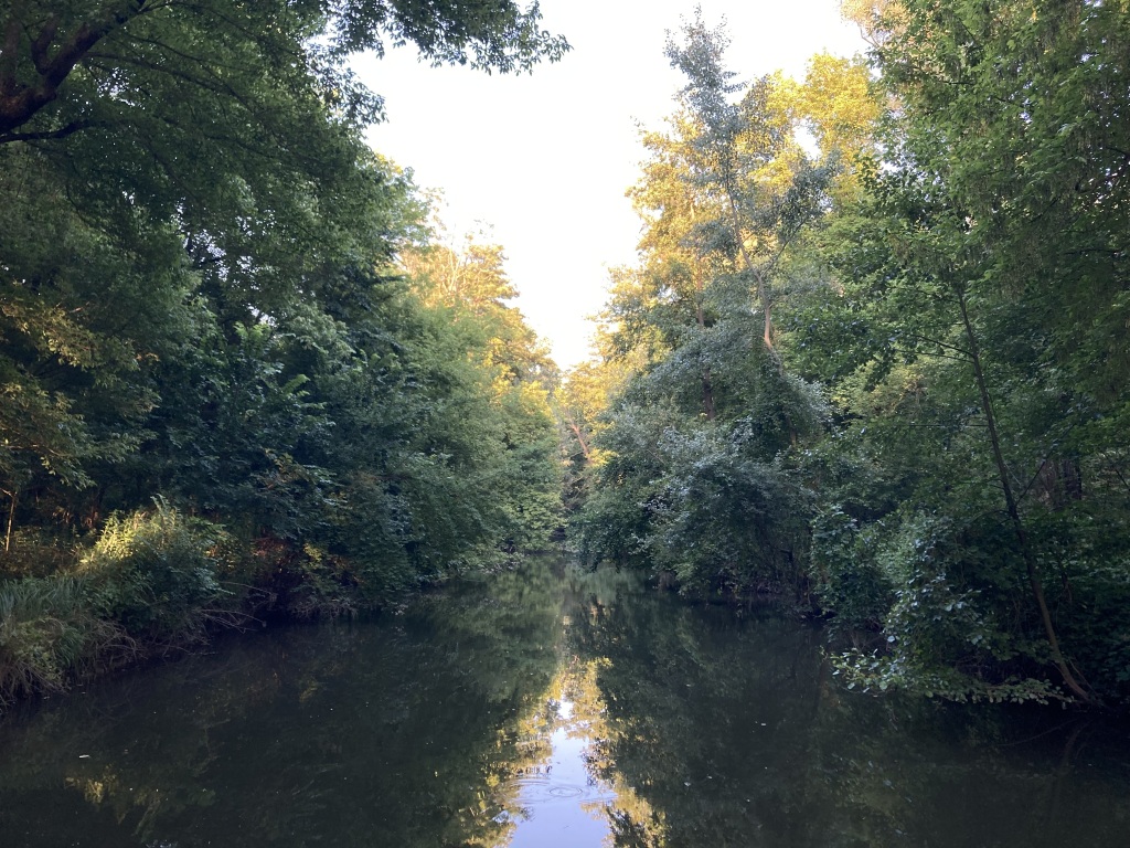 beillesztett kép