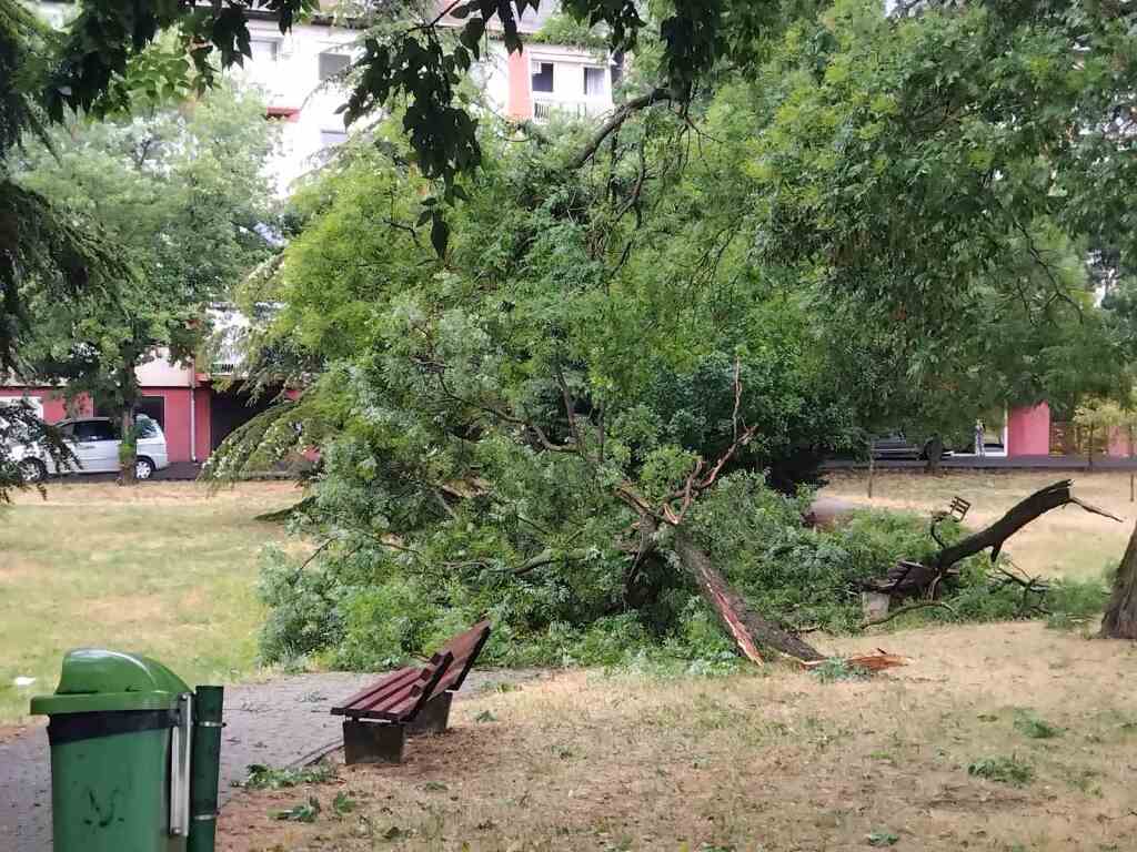 beillesztett kép