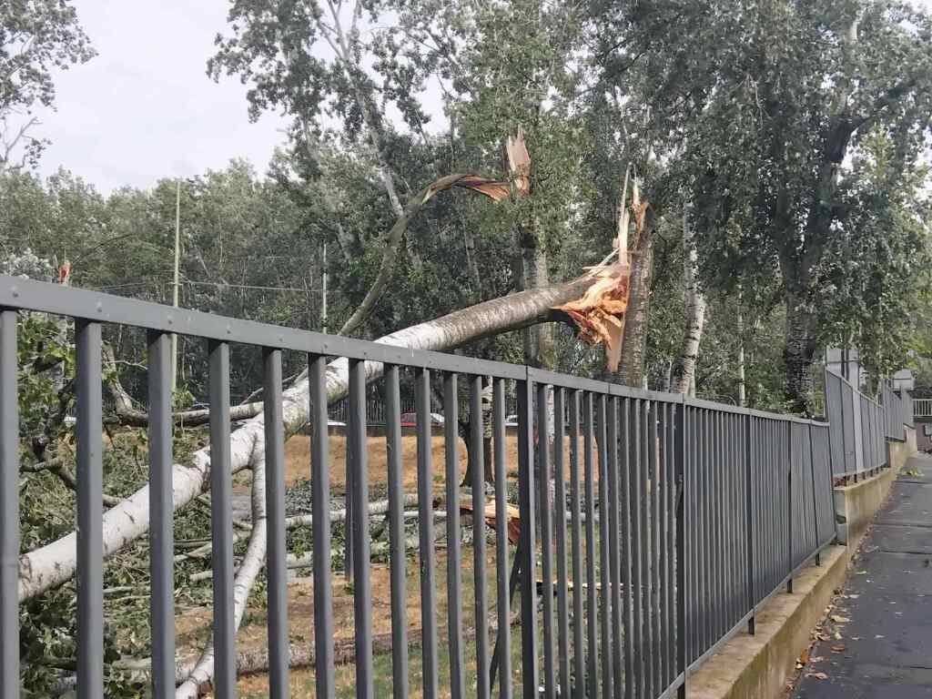 beillesztett kép