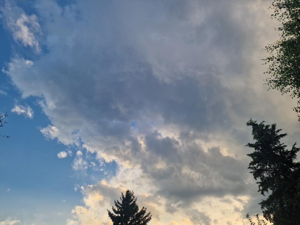beillesztett kép