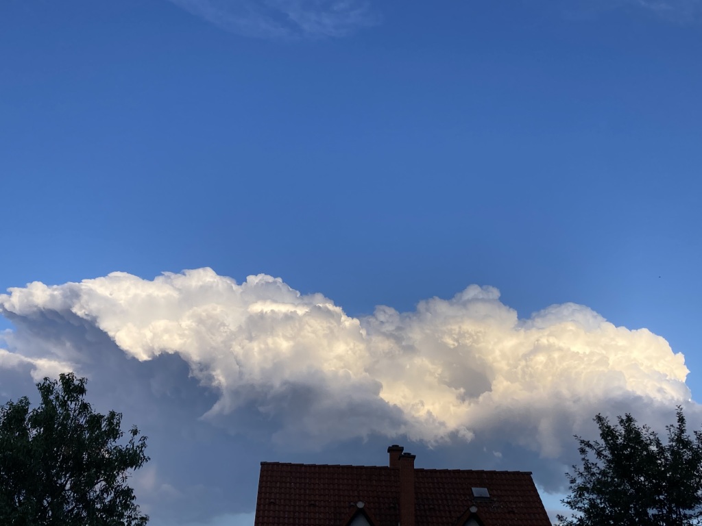 beillesztett kép