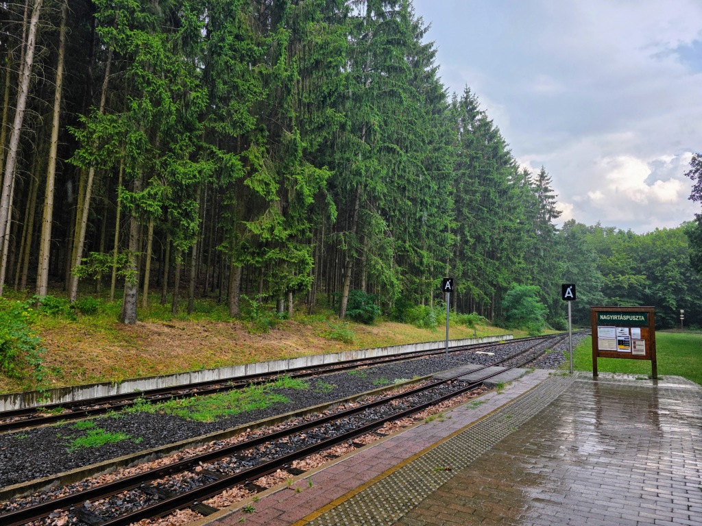 beillesztett kép