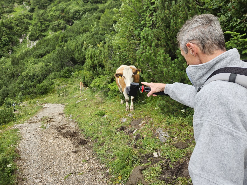 beillesztett kép