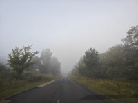 pic