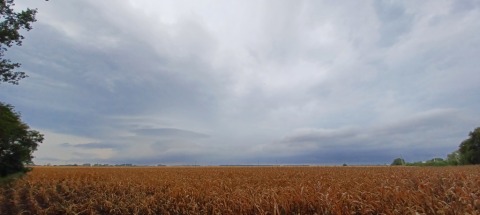 pic
