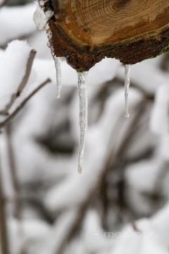 pic