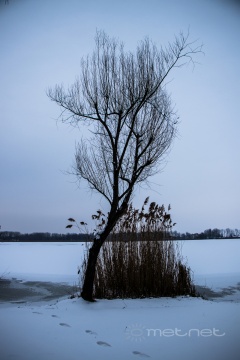 pic