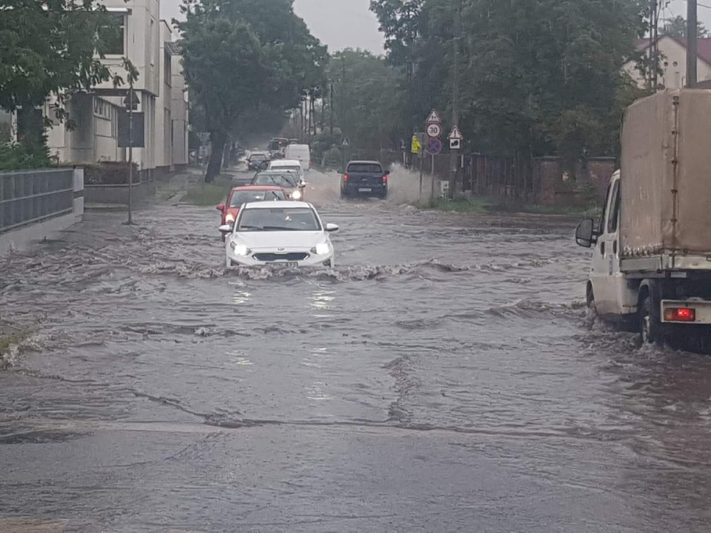 beillesztett kép
