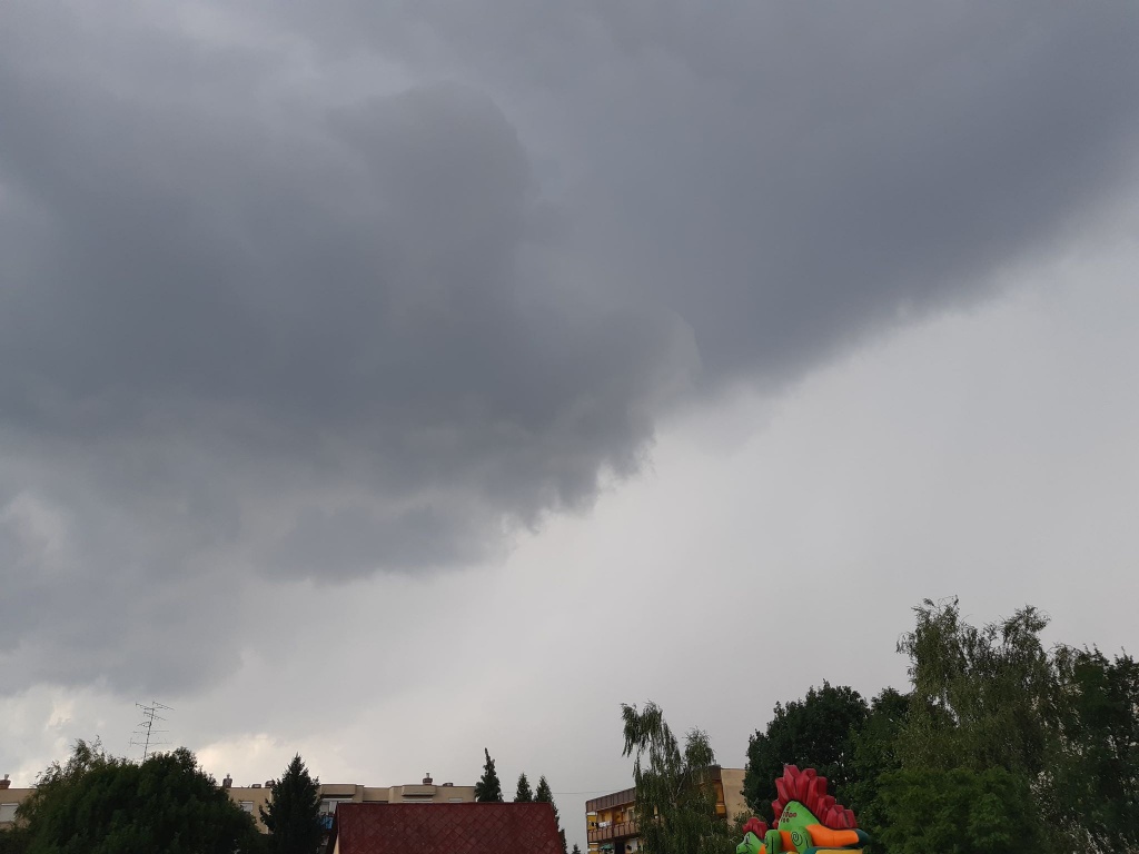 beillesztett kép