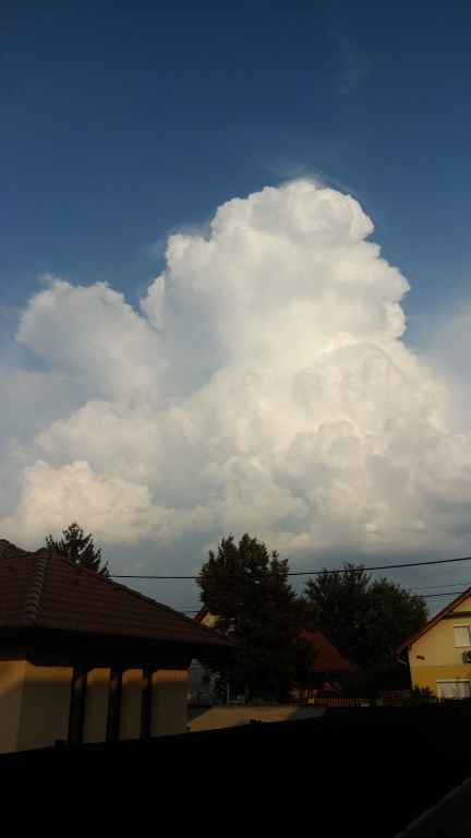 beillesztett kép