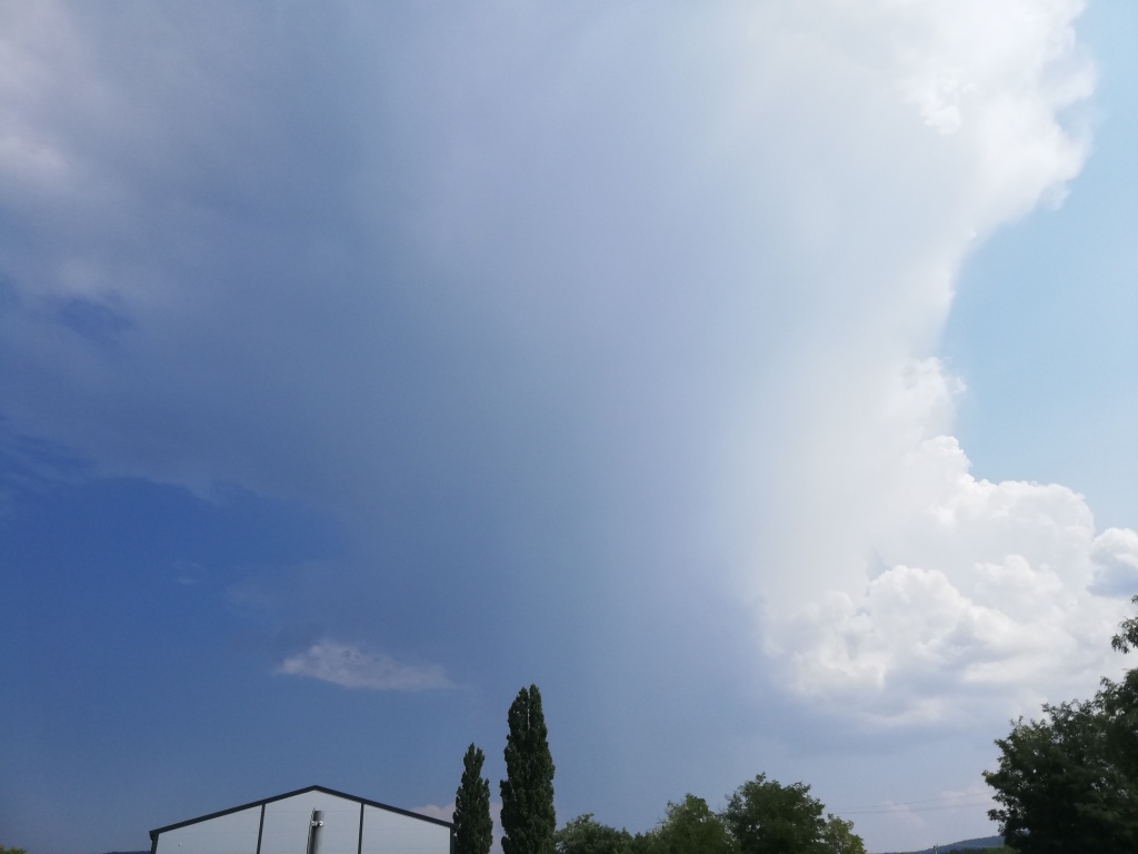 beillesztett kép