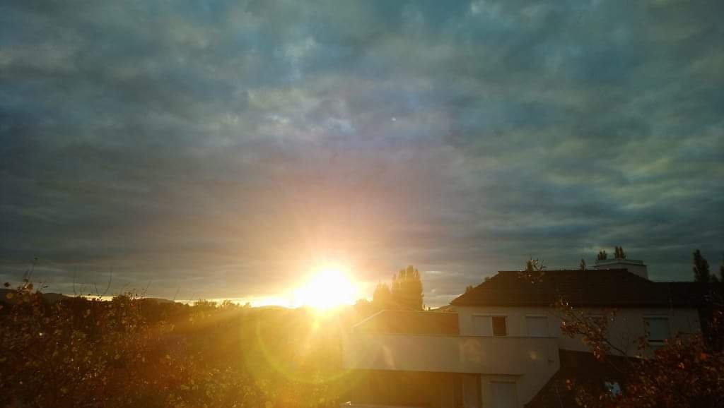 beillesztett kép