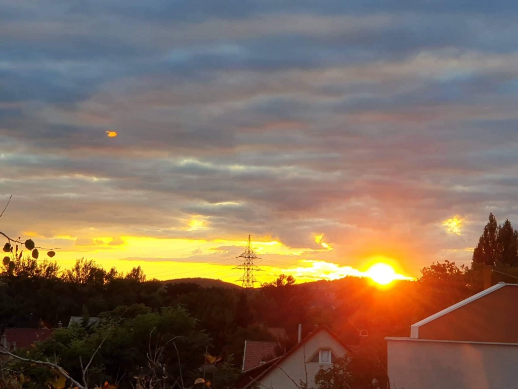beillesztett kép