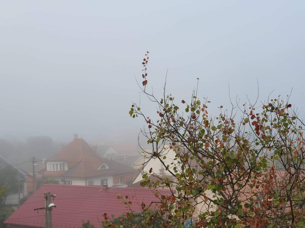 beillesztett kép