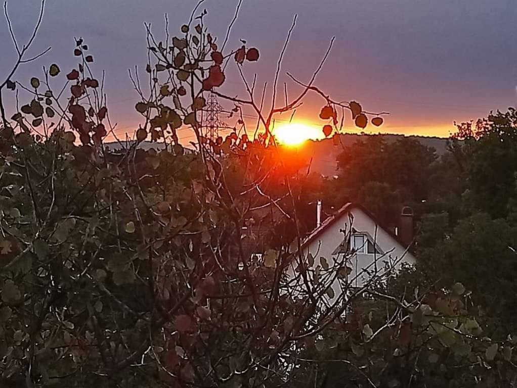 beillesztett kép
