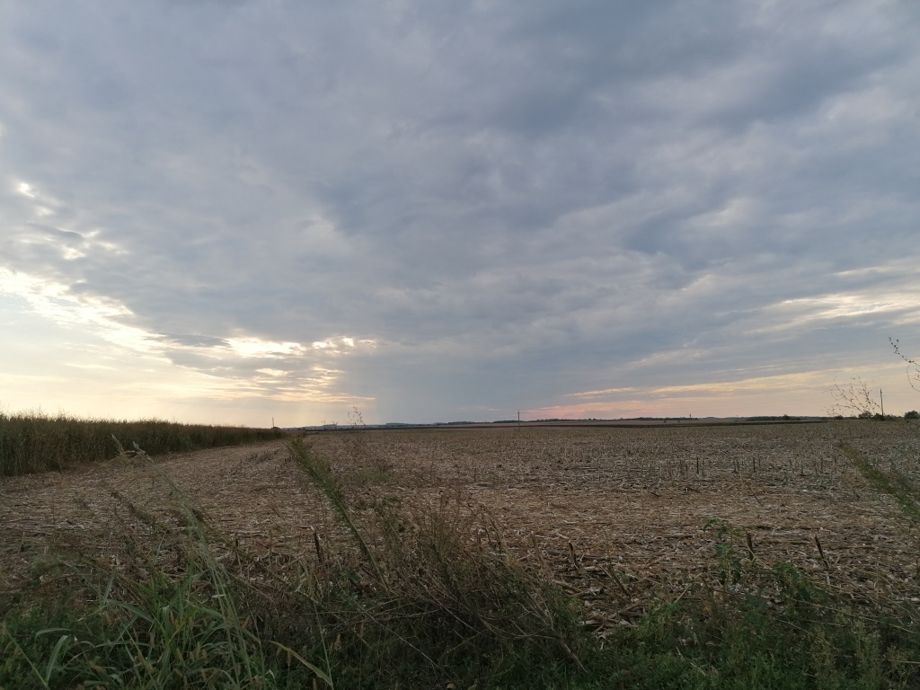 beillesztett kép