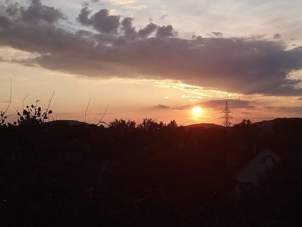 beillesztett kép