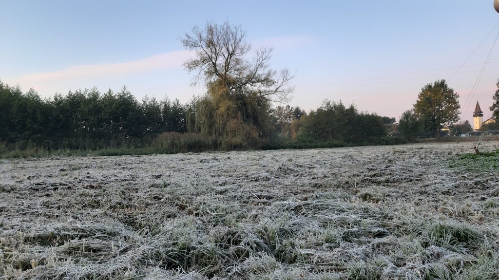 beillesztett kép