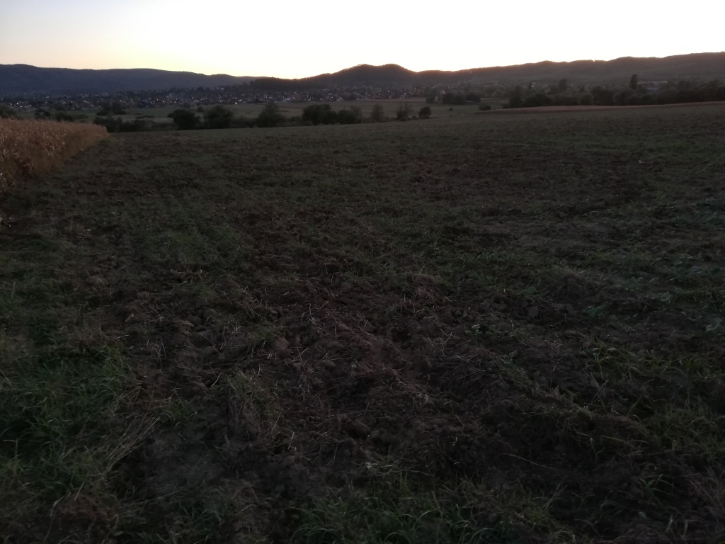 beillesztett kép