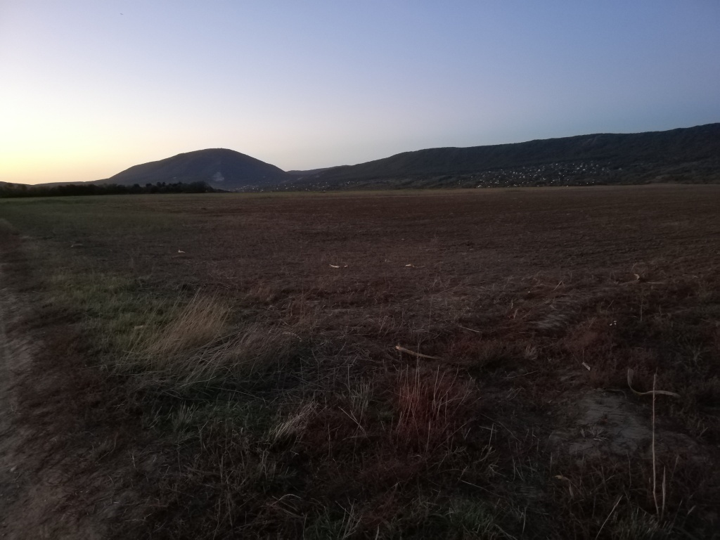 beillesztett kép