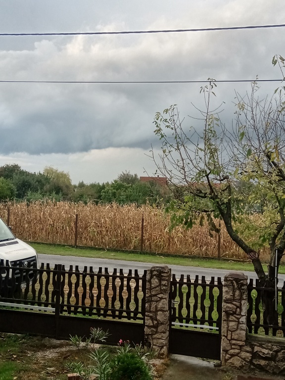 beillesztett kép
