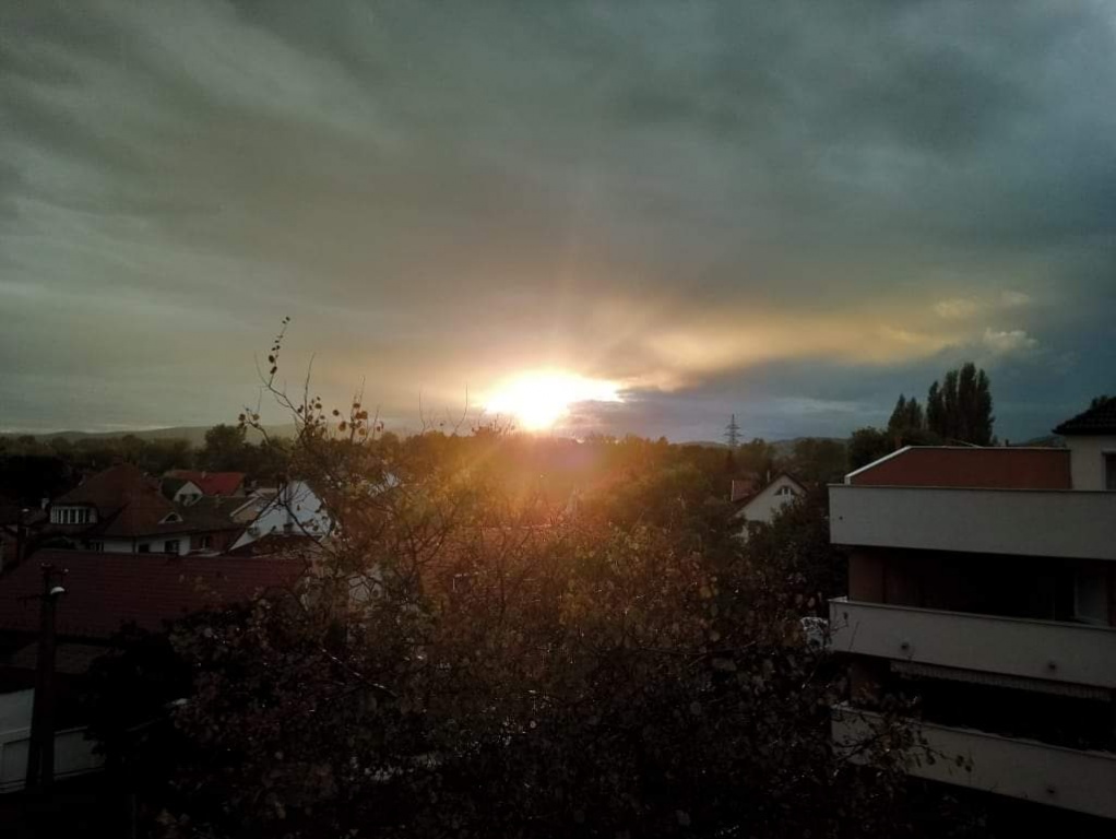 beillesztett kép