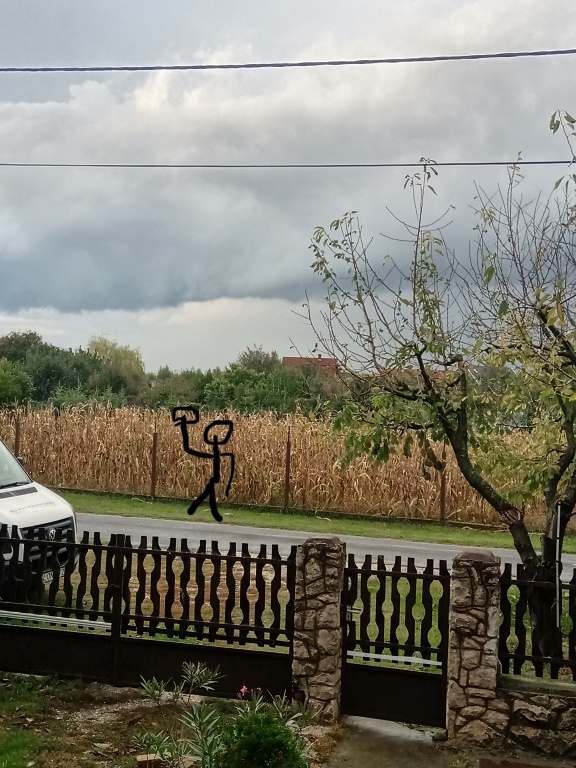 beillesztett kép