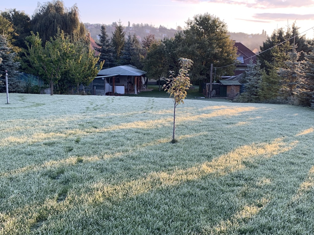 beillesztett kép