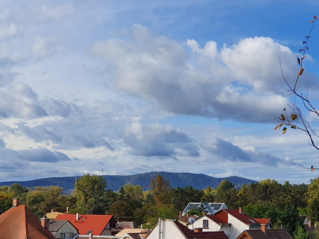 beillesztett kép